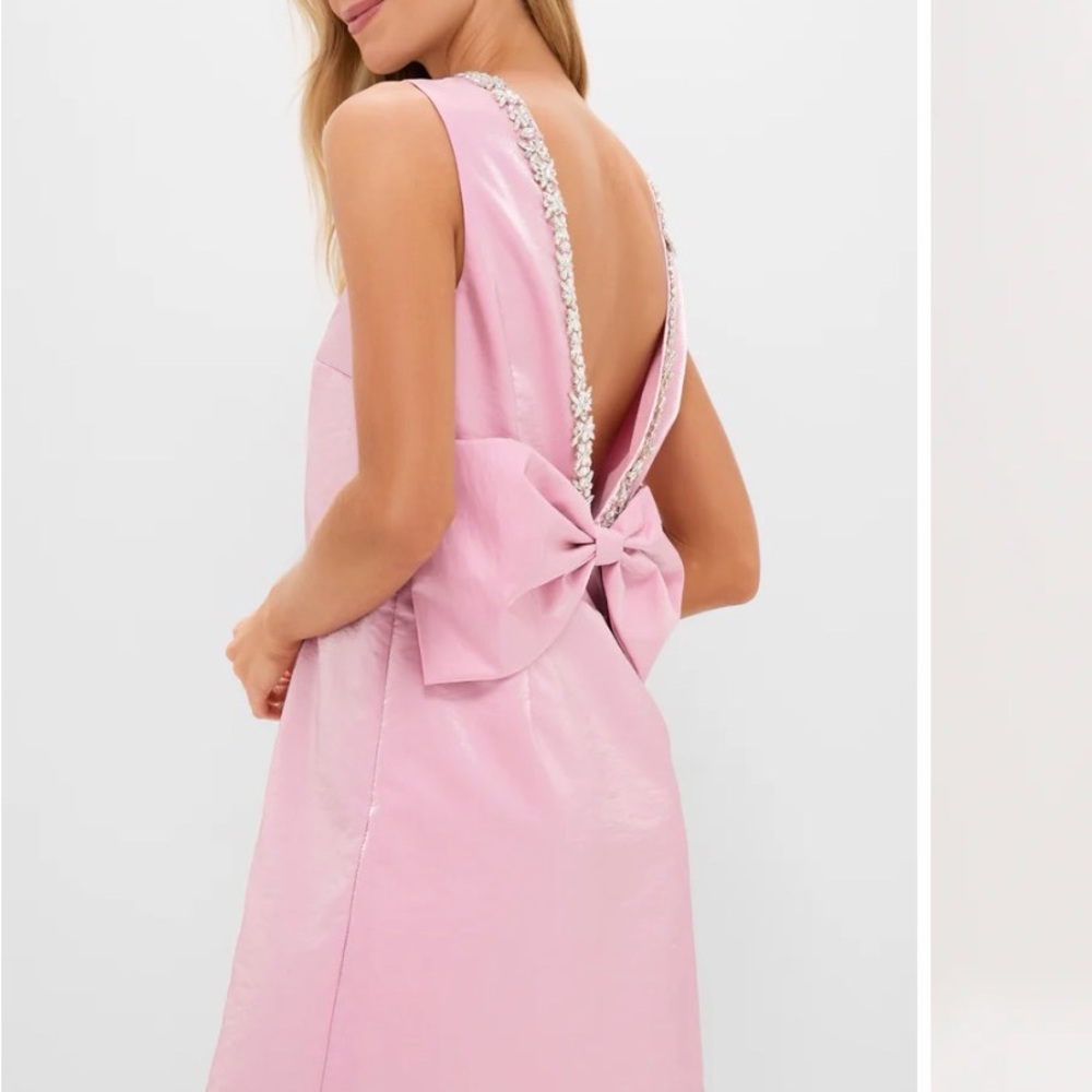 Tuckernuck Pink Sleeveless Mini Dress with Bow Detail